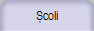 Școli